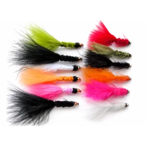 12 Goldhead Tadpole and Woolly Bugger