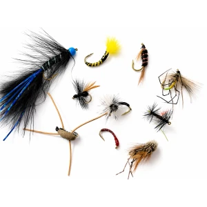 10 Mixed Flies
