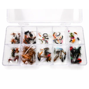 100 Mixed Flies in a Clear Presentation Box