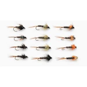 12 Crunchers, Black, Olive & Orange