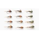 12 Crunchers, Red, Olive & Orange