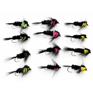 12 Longshank Montana, Yellow, Green, Pink