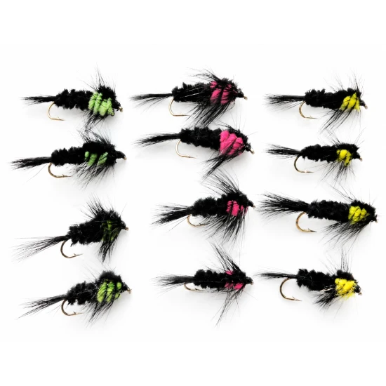 12 Longshank Montana, Yellow, Green, Pink