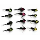 12 Longshank Montana, Yellow, Green, Pink