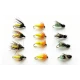12 Nymph Pupa - Caddis, Amber and La Fontaine