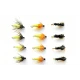 12 Nymph, Amber, Caddis & Coch y bondhu