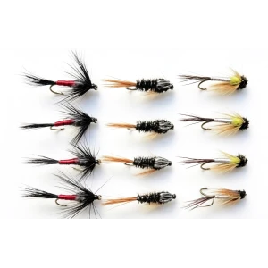12 Nymph, Tiger, Hatching Sedge, Iron Blue