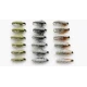 18 Czech Nymph Flies in Olive,Black and Brown