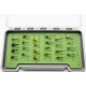 24 Nymphs in a LARGE Troutflies Silicone Insert Box