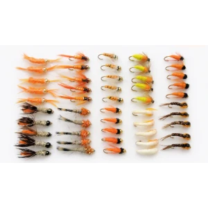 50 Zesty Orange Nymphs