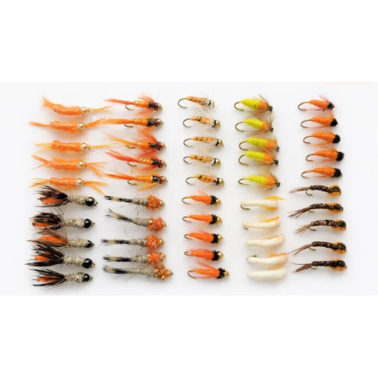 50 Zesty Orange Nymphs