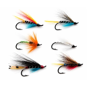 6 Salmon Singles (Garry Dog Blue Charm Silver Doctor Polar White Potato Fly Anne Greenway)
