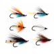 6 Salmon Singles (Garry Dog Blue Charm Silver Doctor Polar White Potato Fly Anne Greenway)