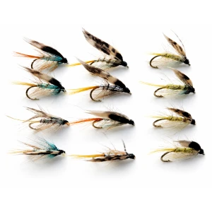 12 Wet Flies - Invicta, Silver Pearl and Standard