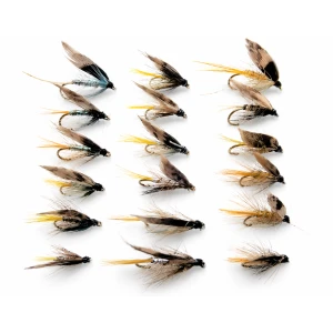 18 Invictas, Silver, Pearly and Normal