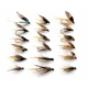18 Invictas, Silver, Pearly and Normal