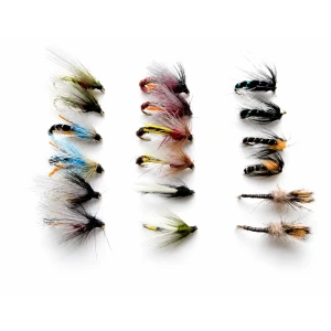 18 Mixed Emergers - All varieties