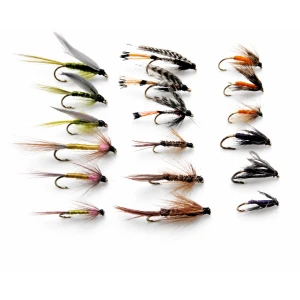 18 Wets - 6 Named Varieties