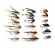 18 Wets - 6 Named Varieties
