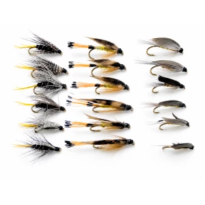18 Wets, Kate Mclaren, Woodcock and Monkey