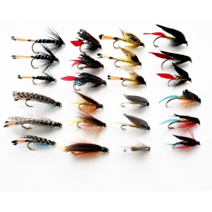 24 Large Hook, Sea Trout, 8 Varieties