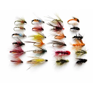 24 Snatcher,Dabbler, Emergers