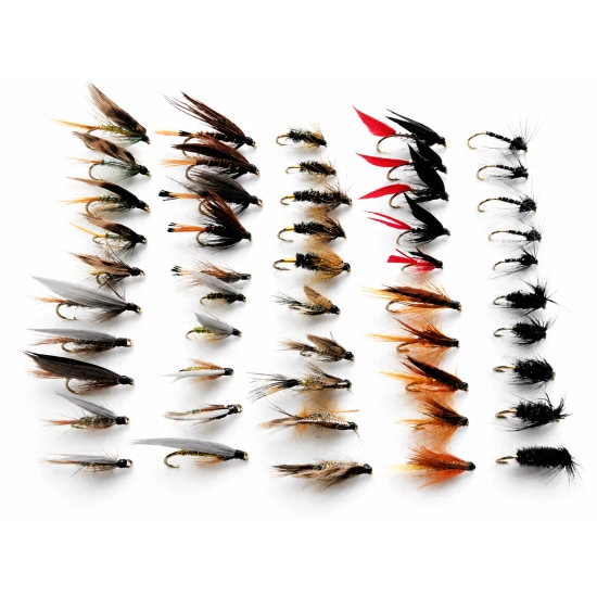 50 Wet Flies - 10 varieties