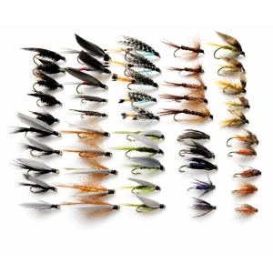 50 Wet Flies - 10 varieties