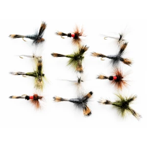 12 Wulff - Royal,Olive,Grey and White