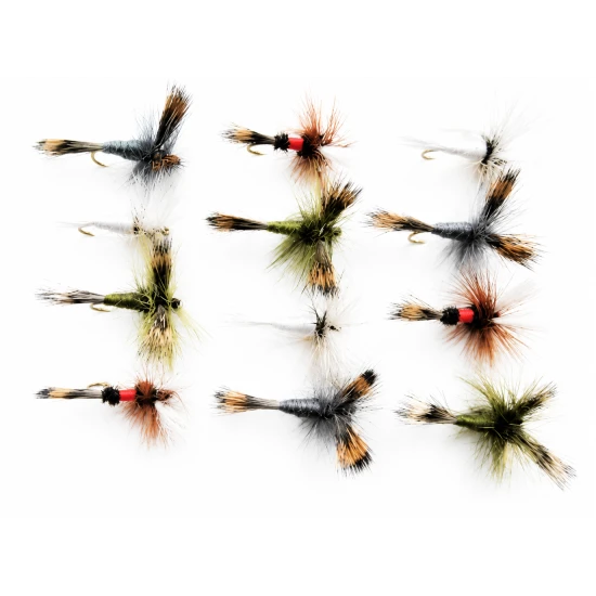 12 Wulff - Royal,Olive,Grey and White