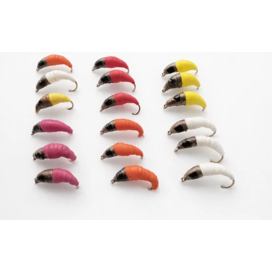 18 Maggot, Mixed Colours