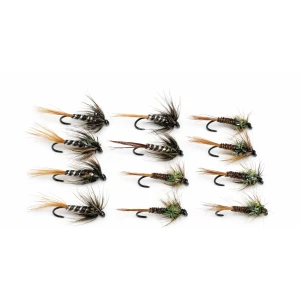12 BARBLESS Crunchers, Black & Olive