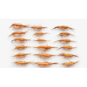 18 Barbless Standard Shrimp Trout Flies - Goldhead & Unweighted