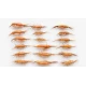 18 Barbless Standard Shrimp Trout Flies - Goldhead & Unweighted